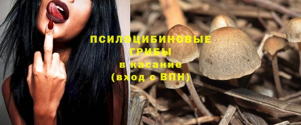 каннабис Арсеньев