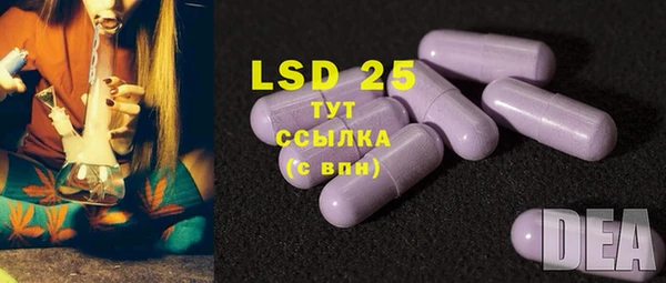 дмт Аркадак